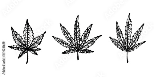 Set of hand drawn cannabis leaf Medicine marijuana Hemp leaves clipart in doodle style Single element for print, web, design, decor