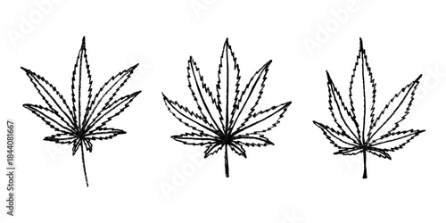 Set of hand drawn cannabis leaf Medicine marijuana Hemp leaves clipart in doodle style Single element for print, web, design, decor
