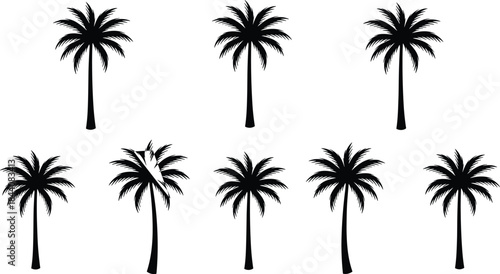 Palm tree silhouette set, tropical summer nature icons, coconut palms, exotic beach landscape elements isolated on white background