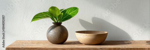 Calm minimalist still life with plant in ceramic vase and wooden bowl on wood shelf. Serene and peaceful home decoration with natural light and soft shadow