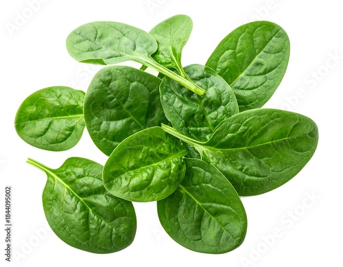 Fresh spinach leaves, vibrant green, piled high, isolated against a pure white background