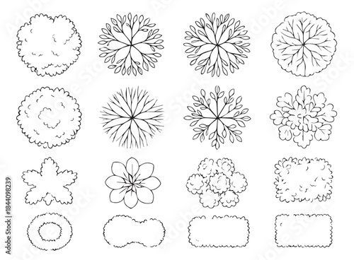 Collection of Hand-Drawn Top-View Tree, Shrub, and Hedge Symbols for Landscape Plans