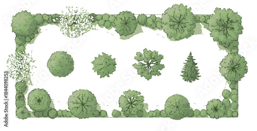 Top-Down Landscape Design Plan with Various Trees and Shrubs