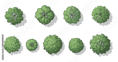 Top view of a set of eight different deciduous green trees and bushes for architectural floor plans and landscape design, isolated vector elements.