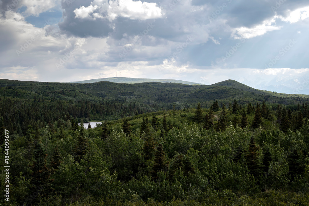 Obraz premium Overlooking hills and green trees in interior Alaska
