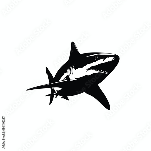 A black and white illustration of a shark. The shark is angled up and to the right