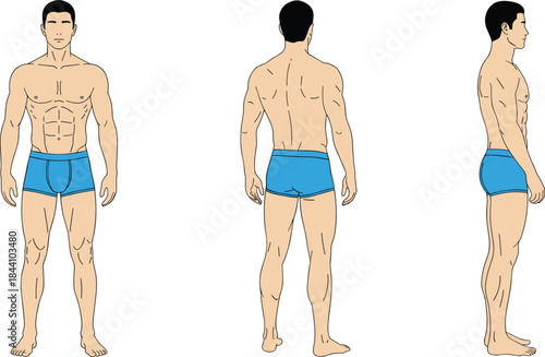 Standardized front, back, and profile illustration of a healthy adult man's silhouette and physical build, useful for design, medical training, and educational material.