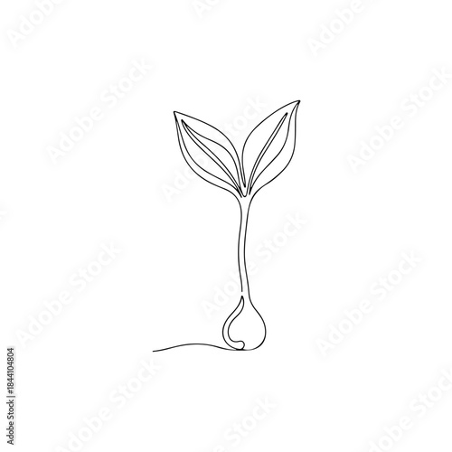 Minimalist continuous line drawing of a sprouting seedling emerging from a seed with two delicate leaves unfolding upwards. isolated on transparent background