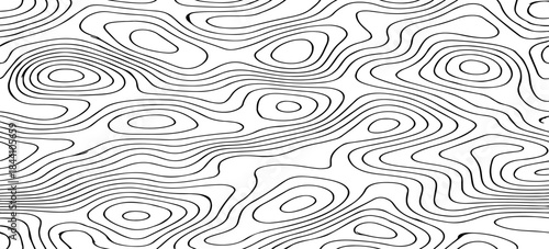 Abstract Topographic Map Contour Lines Vector Illustration Design Featuring Flowing Terrain Patterns, Elevation Curves, and Minimal Geographic Line Art.