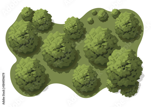 Top View Park or Forest Area Vector Illustration. Stylized 3D Isometric Trees and Bushes Landscape Element.