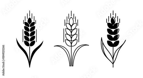 Minimal Wheat Ear Icon Set – Solid and Line Art Grain Symbols for Agriculture, Harvest, Bakery, and Organic Food Branding