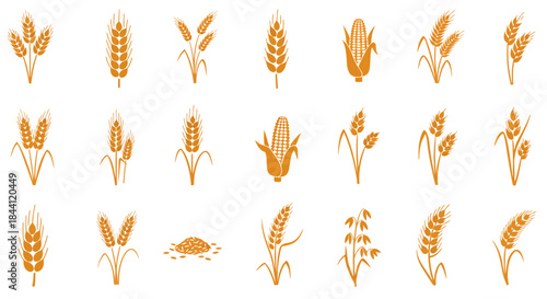 A collection of various stylized grain and cereal plants, including wheat, corn, and barley, depicted as icons.