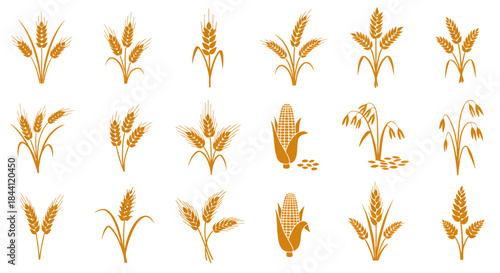 A collection of stylized golden icons depicting various cereal grains and agricultural crops like wheat, corn, and oats on a white background.