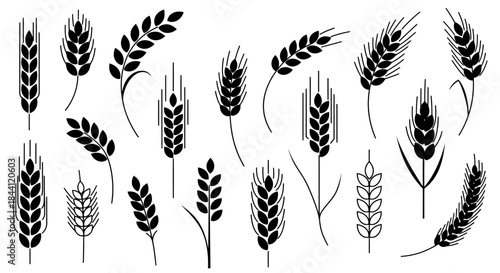 A collection of black silhouette illustrations depicting various styles of wheat ears and cereal grains, symbolizing agriculture and harvest.