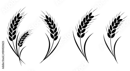 Black silhouettes of wheat ears and grain stalks, stylized graphic elements for agriculture and food concepts.
