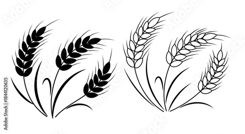 Two stylized illustrations of wheat stalks, one as a black silhouette and the other as a line art drawing, both depicting ripe grain ears.