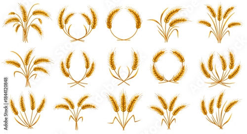 A collection of various golden wheat and rye ears, stalks, and wreaths illustrations on a white background.