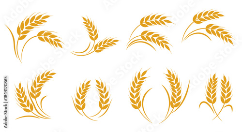 A collection of stylized golden wheat ear illustrations, depicting various arrangements of cereal grains on a white background.