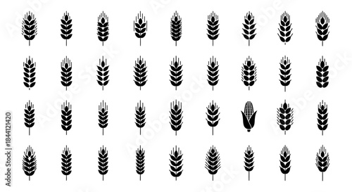 A collection of black and white vector icons depicting various types of grain, cereal, and corn, suitable for agriculture and food-related designs.