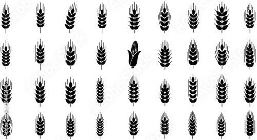 A grid of black silhouettes featuring various cereal grains and a single corn cob against a white background.