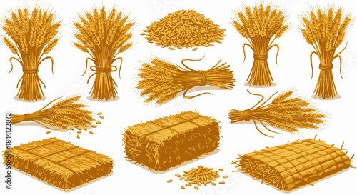 A collection of various wheat and straw forms including sheaves, loose grains, and bales.