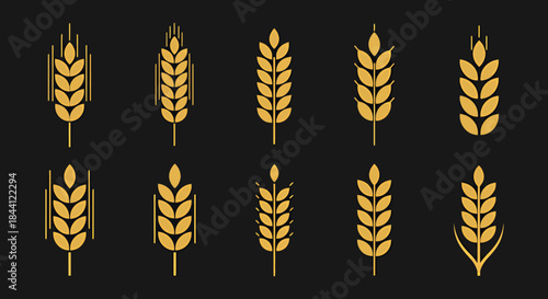 Collection of ten stylized golden wheat and grain ears on a dark background, showcasing various cereal crop designs.