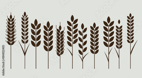 A row of various stylized dark brown wheat and grain stalks on a light grey background.