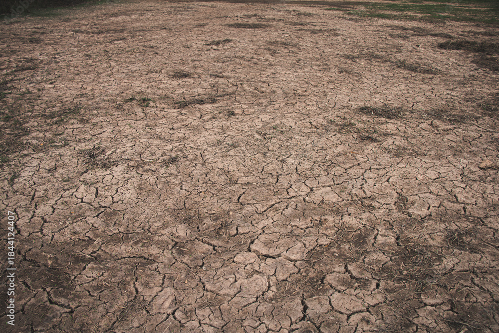 Φωτογραφία The dry, fractured surface of the earth reveals the silent crisis of drought unfolding in the background