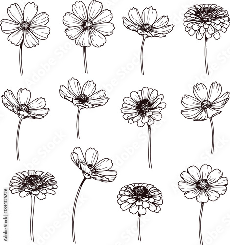 Vintage Engraving Style Black and White Floral Line Art Vector Collection for Wedding Stationery