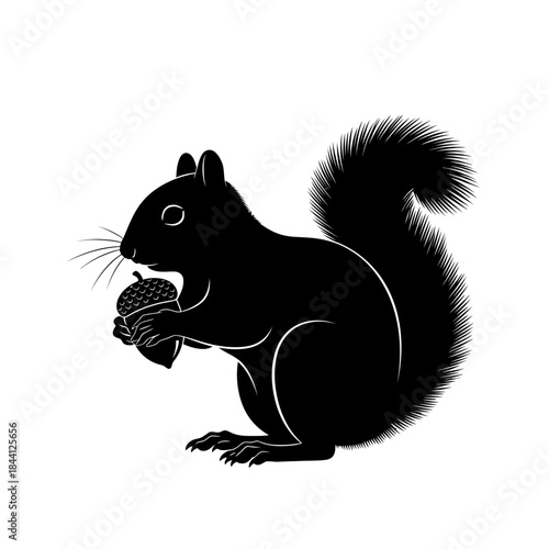 Black squirrel silhouette holding acorn