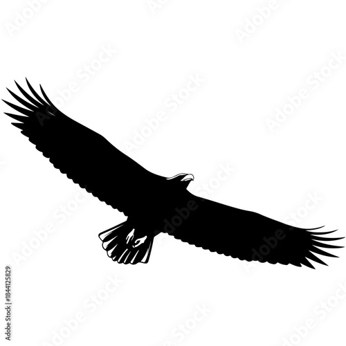 Black silhouette of a majestic eagle soaring with widespread wings against a plain background isolated on transparent background