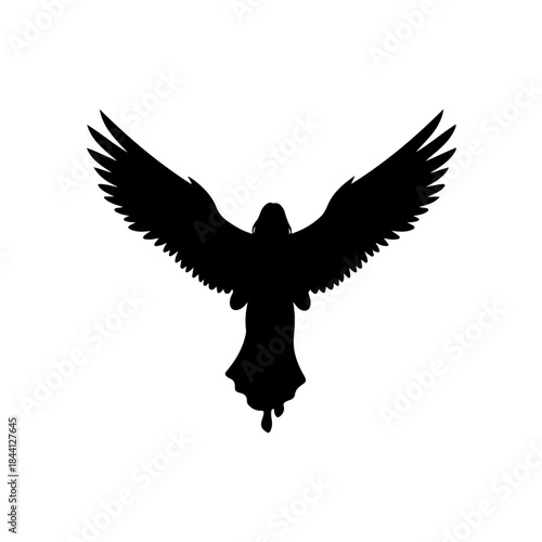 A black silhouette of a celestial being with large widespread wings flying towards the sky isolated on transparent background