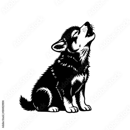 A black and white dog howling at the moon