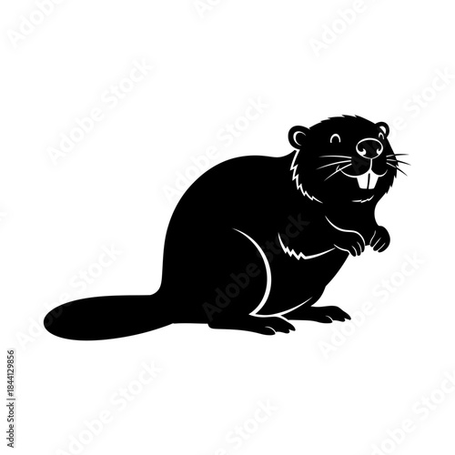 Detailed black and white illustration of a north american beaver holding a twig