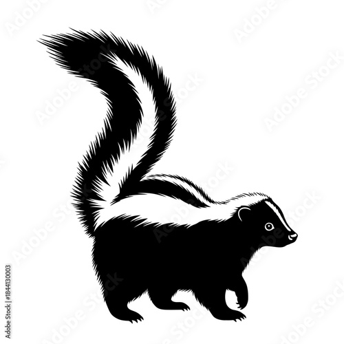 Black and white skunk silhouette with raised tail