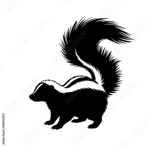 Black and white illustration of a skunk walking with its bushy tail raised