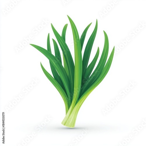 Wallpaper Mural Vibrant Green Pandan Leaves With Detailed Veins on a Clean White Background Isolated Torontodigital.ca