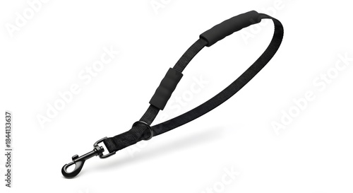 High-quality black pet leash featuring a comfortable padded handle and robust metal snap hook, ensuring secure control for dog walking and effective training, isolated on white
