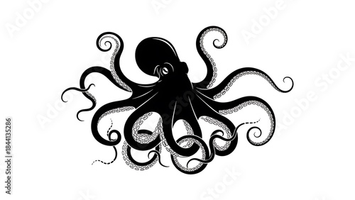 A striking black silhouette of an octopus on a white background, perfect for a logo or graphic design element