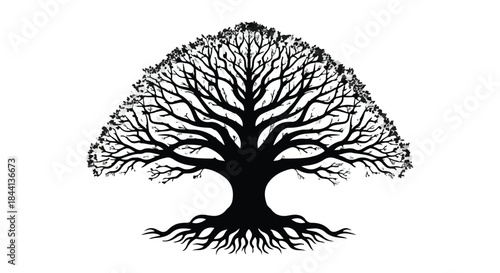 Intricate silhouette of a majestic tree with deep roots and sprawling branches against a white background