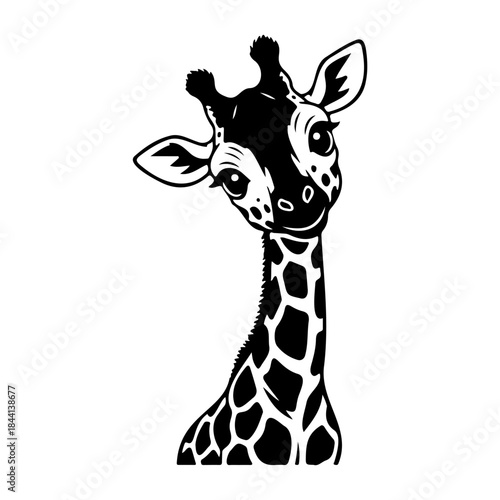 Cute baby giraffe illustration