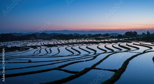 A serene sunrise over terraced rice paddies