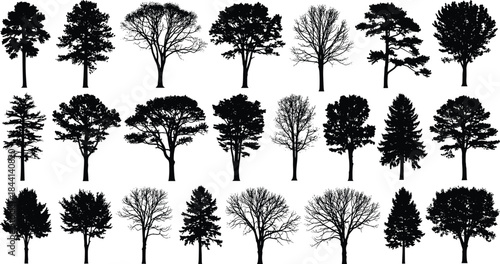Large set of diverse tree silhouettes, deciduous and coniferous species, detailed vector graphics for landscape architecture and design.
