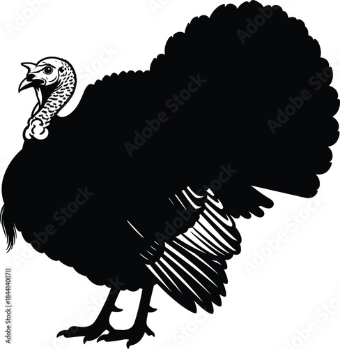 Male Turkey Silhouette Strutting with Detailed Head, Black Vector Illustration Isolated on White Background for Thanksgiving Holiday and Poultry Farm Design.