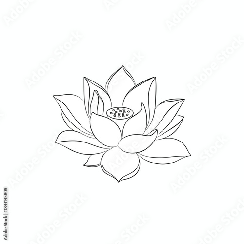 A black and white line drawing of a lotus flower, centered on a white background