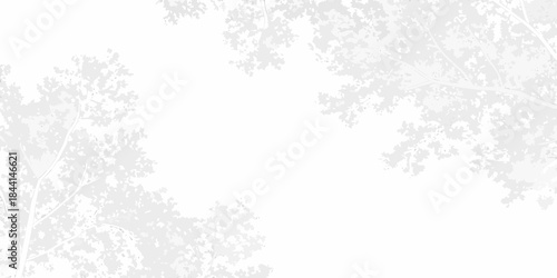 Delicate branches and foliage create a soft ethereal frame in grayscale