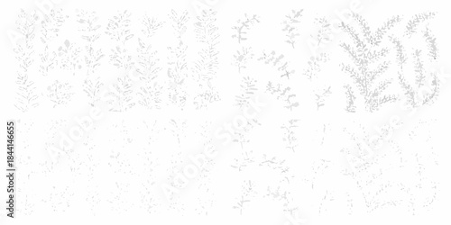 Delicate fern fronds gracefully patterned in a grayscale botanical illustration