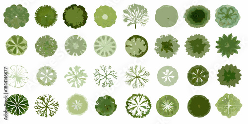 An assortment of various green tree top views on a white background
