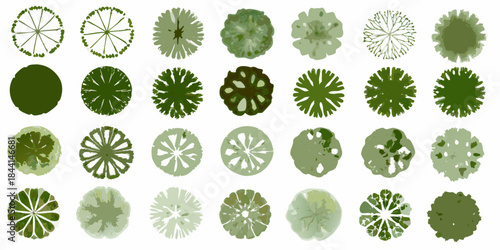 A collection of various green tree top views in a patterned arrangement