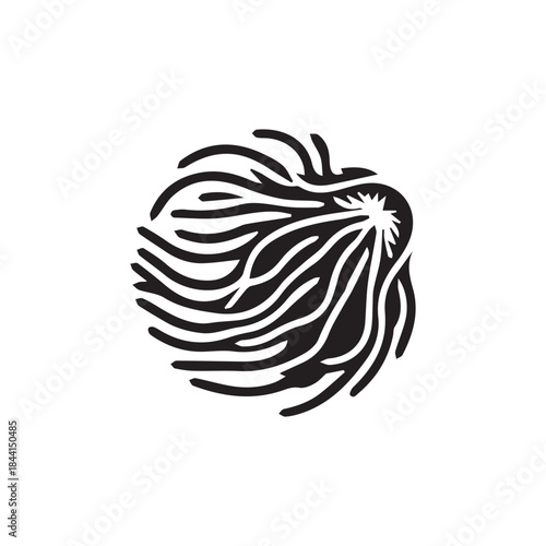 Zoonkplanton logo with white background